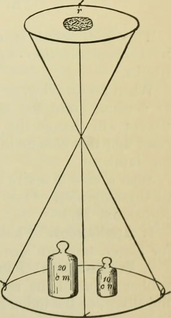 An illustration from A manual of experimental physiology for students of medicine / By Winfield S. Hall ... With 89 illustrations and a colored plate., 1904, leaf 99