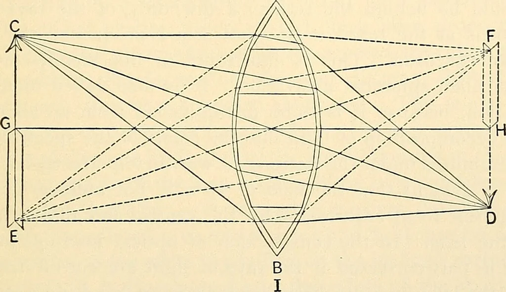 An illustration from Handbook of physiology : for students and practitioners of medicine / by Austin Flint ... with two hundred and forty-seven illustrations in the text--including four in colors--and an atlas of sixteen color-plates, including forty-eight original figures taken from actual stained microscopical preparation., 1905, leaf 709