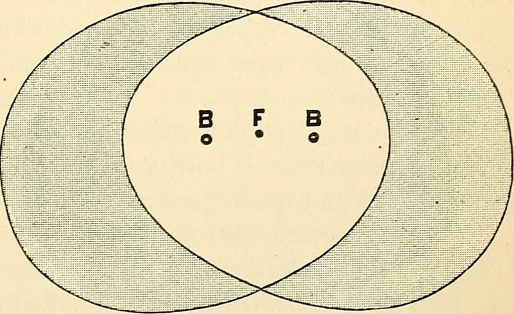 An illustration from Handbook of physiology : for students and practitioners of medicine / by Austin Flint ... with two hundred and forty-seven illustrations in the text--including four in colors--and an atlas of sixteen color-plates, including forty-eight original figures taken from actual stained microscopical preparation., 1905, leaf 731
