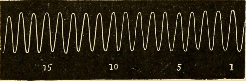 An illustration from Handbook of physiology : for students and practitioners of medicine / by Austin Flint ... with two hundred and forty-seven illustrations in the text--including four in colors--and an atlas of sixteen color-plates, including forty-eight original figures taken from actual stained microscopical preparation., 1905, leaf 90