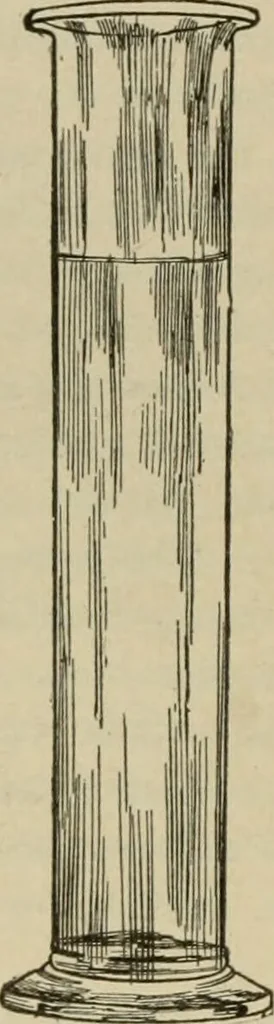 An illustration from Diseases of infancy and childhood, their dietetic, hygienic, and medical treatment : a text-book designed for practitioners and students in medicine / By Louis Fischer., 1910, leaf 1012