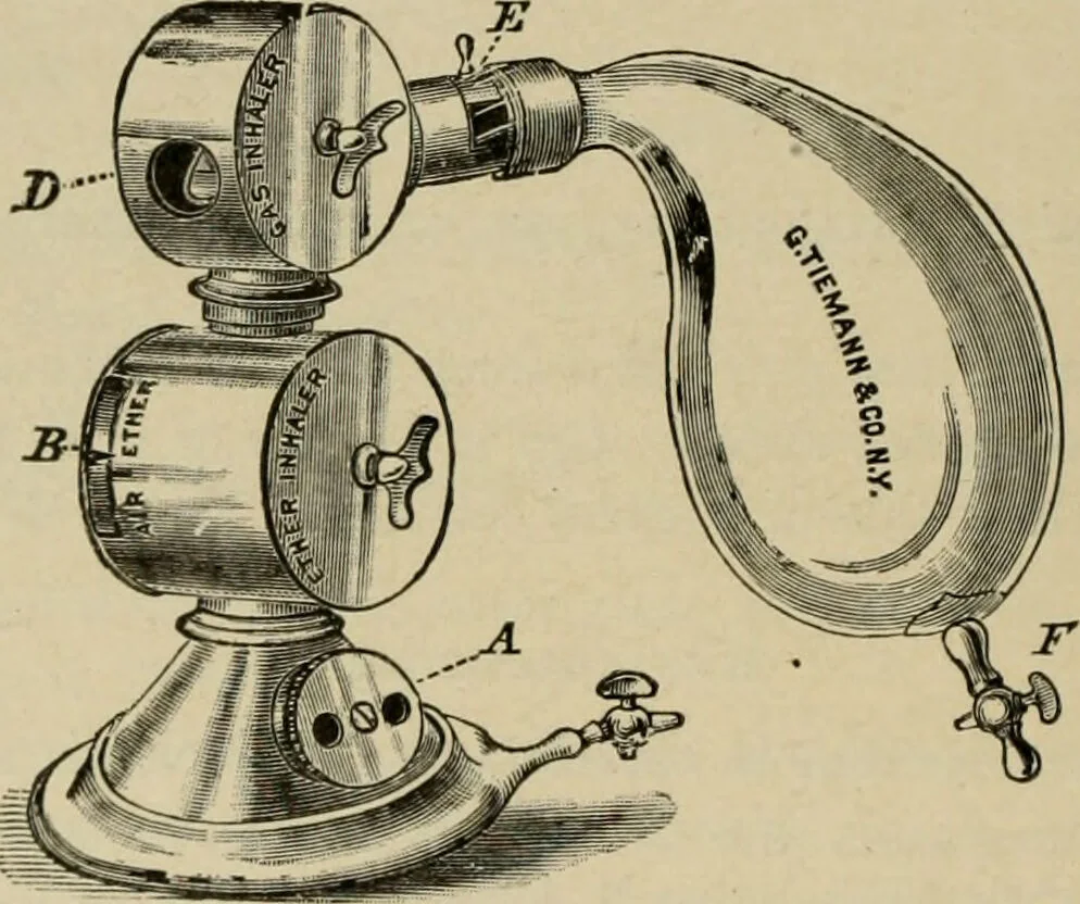An illustration from Diseases of infancy and childhood, their dietetic, hygienic, and medical treatment : a text-book designed for practitioners and students in medicine / By Louis Fischer., 1910, leaf 1022
