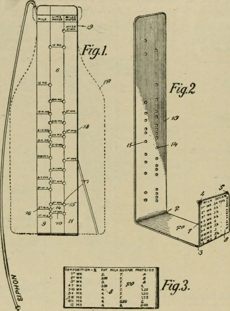 An illustration from Diseases of infancy and childhood, their dietetic, hygienic, and medical treatment : a text-book designed for practitioners and students in medicine / By Louis Fischer., 1910, leaf 196