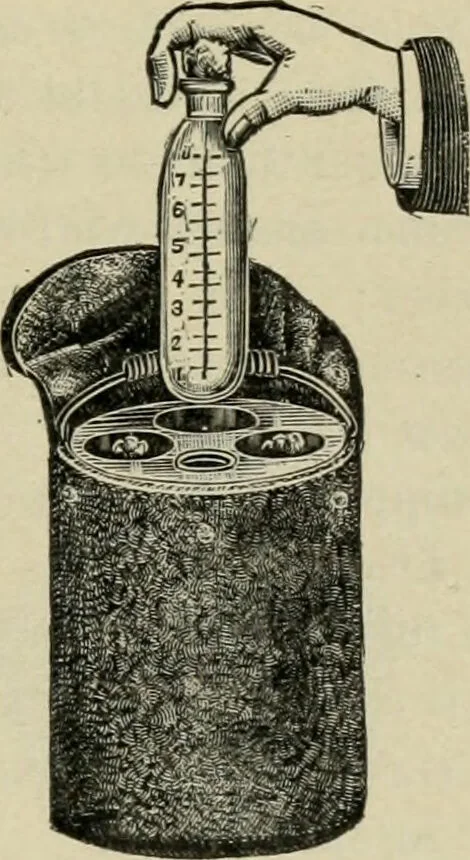 An illustration from Diseases of infancy and childhood, their dietetic, hygienic, and medical treatment : a text-book designed for practitioners and students in medicine / By Louis Fischer., 1910, leaf 201