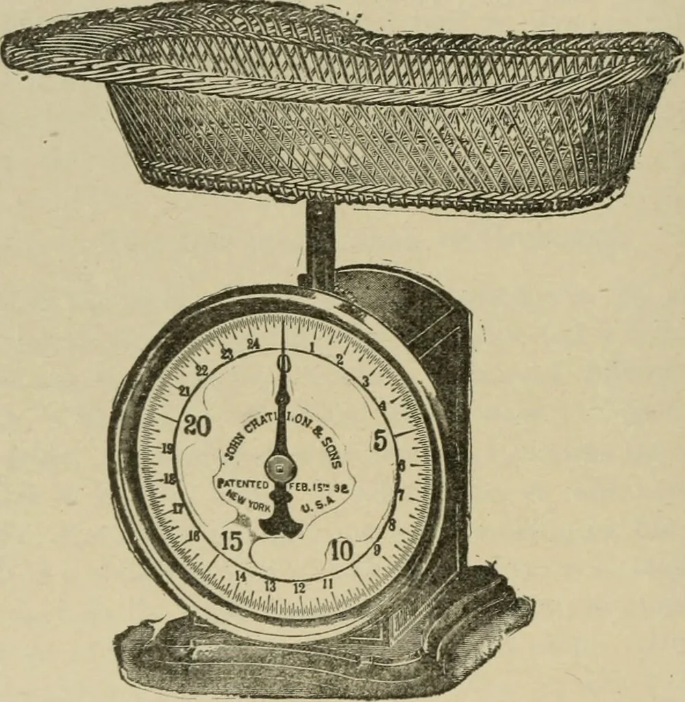 An illustration from Diseases of infancy and childhood, their dietetic, hygienic, and medical treatment : a text-book designed for practitioners and students in medicine / By Louis Fischer., 1910, leaf 260