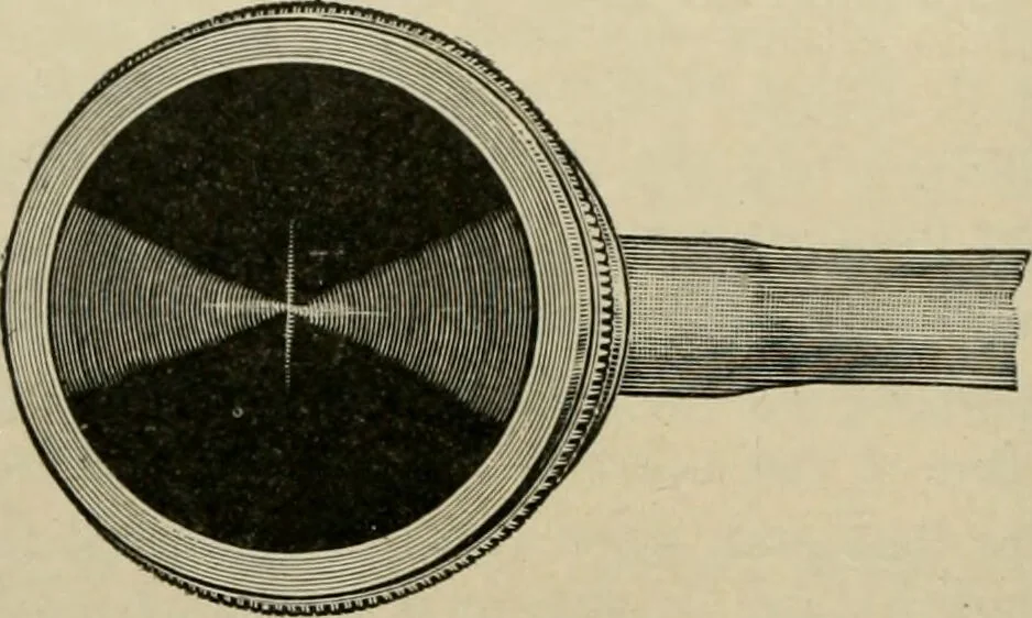 An illustration from Diseases of infancy and childhood, their dietetic, hygienic, and medical treatment : a text-book designed for practitioners and students in medicine / By Louis Fischer., 1910, leaf 420