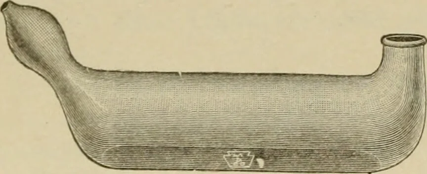 An illustration from Diseases of infancy and childhood, their dietetic, hygienic, and medical treatment : a text-book designed for practitioners and students in medicine / By Louis Fischer., 1910, leaf 484