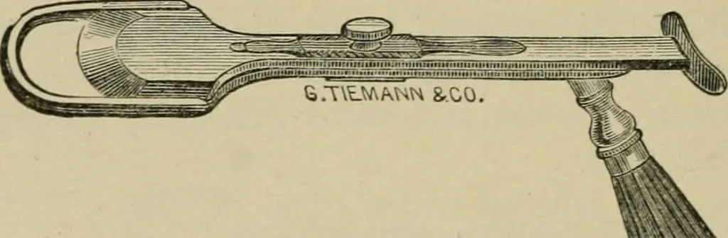 An illustration from Diseases of infancy and childhood, their dietetic, hygienic, and medical treatment : a text-book designed for practitioners and students in medicine / By Louis Fischer., 1910, leaf 492