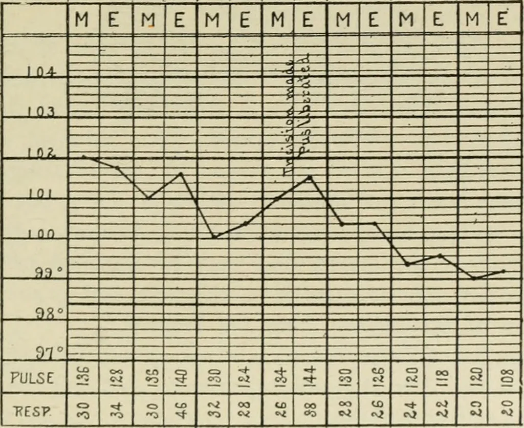 An illustration from Diseases of infancy and childhood, their dietetic, hygienic, and medical treatment : a text-book designed for practitioners and students in medicine / By Louis Fischer., 1910, leaf 501