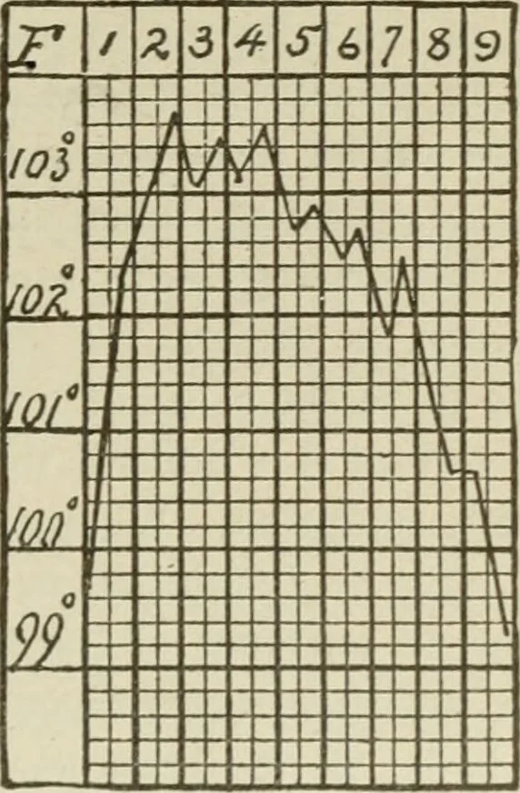 An illustration from Diseases of infancy and childhood, their dietetic, hygienic, and medical treatment : a text-book designed for practitioners and students in medicine / By Louis Fischer., 1910, leaf 521