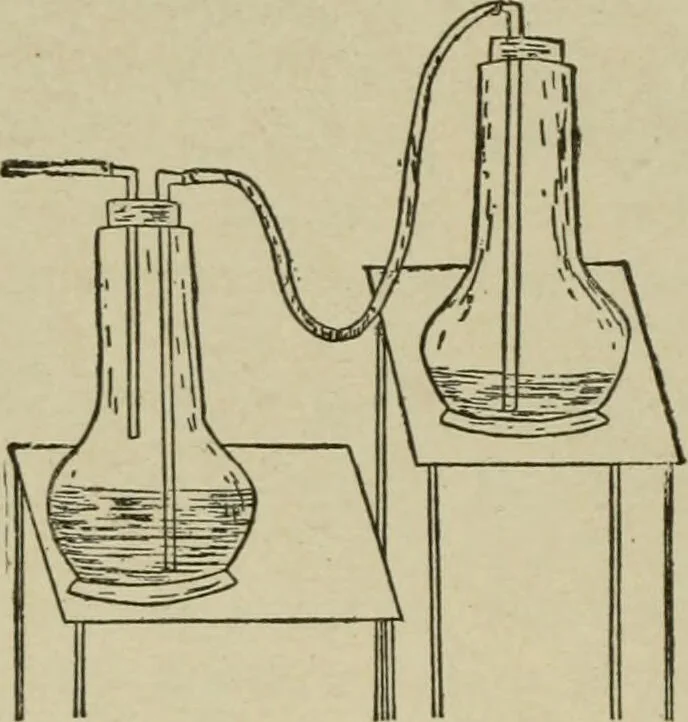 An illustration from Diseases of infancy and childhood, their dietetic, hygienic, and medical treatment : a text-book designed for practitioners and students in medicine / By Louis Fischer., 1910, leaf 528