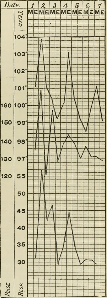 An illustration from Diseases of infancy and childhood, their dietetic, hygienic, and medical treatment : a text-book designed for practitioners and students in medicine / By Louis Fischer., 1910, leaf 539