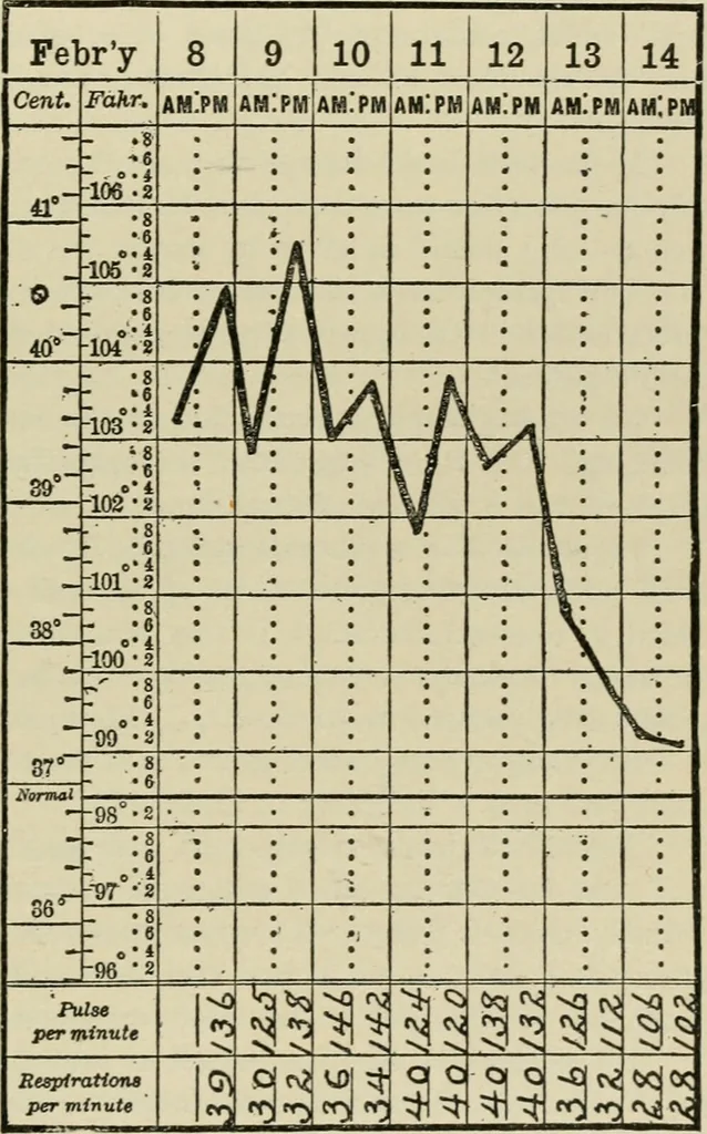 An illustration from Diseases of infancy and childhood, their dietetic, hygienic, and medical treatment : a text-book designed for practitioners and students in medicine / By Louis Fischer., 1910, leaf 541