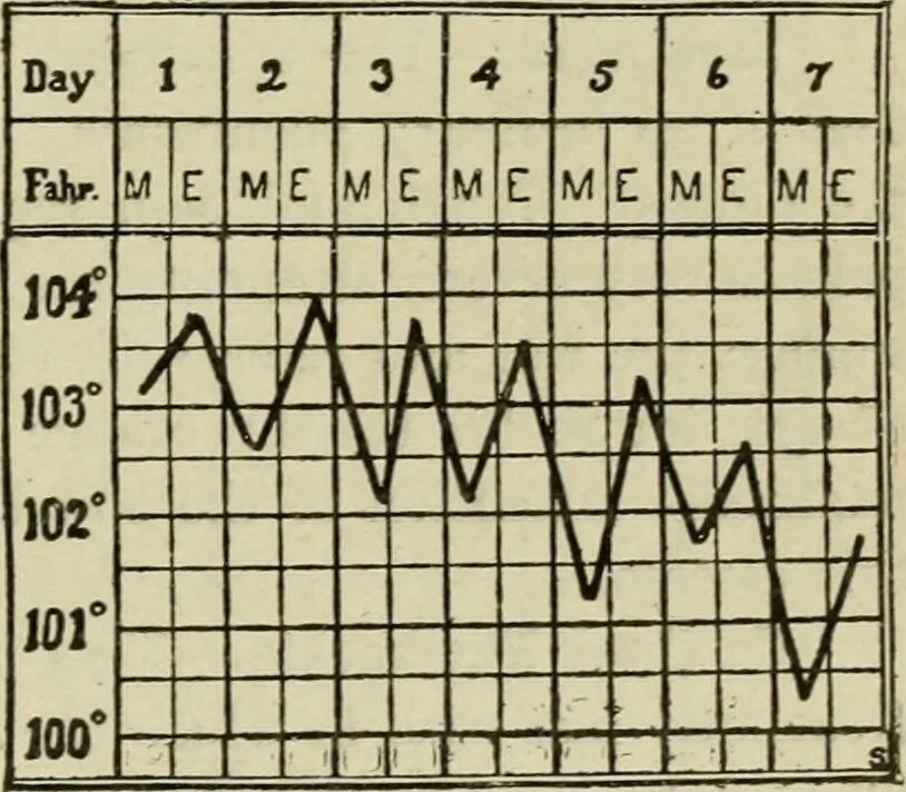 An illustration from Diseases of infancy and childhood, their dietetic, hygienic, and medical treatment : a text-book designed for practitioners and students in medicine / By Louis Fischer., 1910, leaf 559