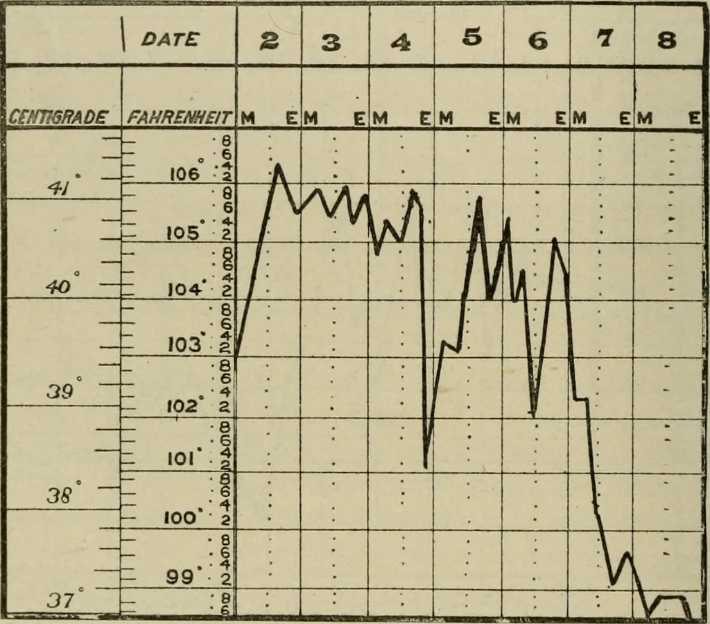 An illustration from Diseases of infancy and childhood, their dietetic, hygienic, and medical treatment : a text-book designed for practitioners and students in medicine / By Louis Fischer., 1910, leaf 562