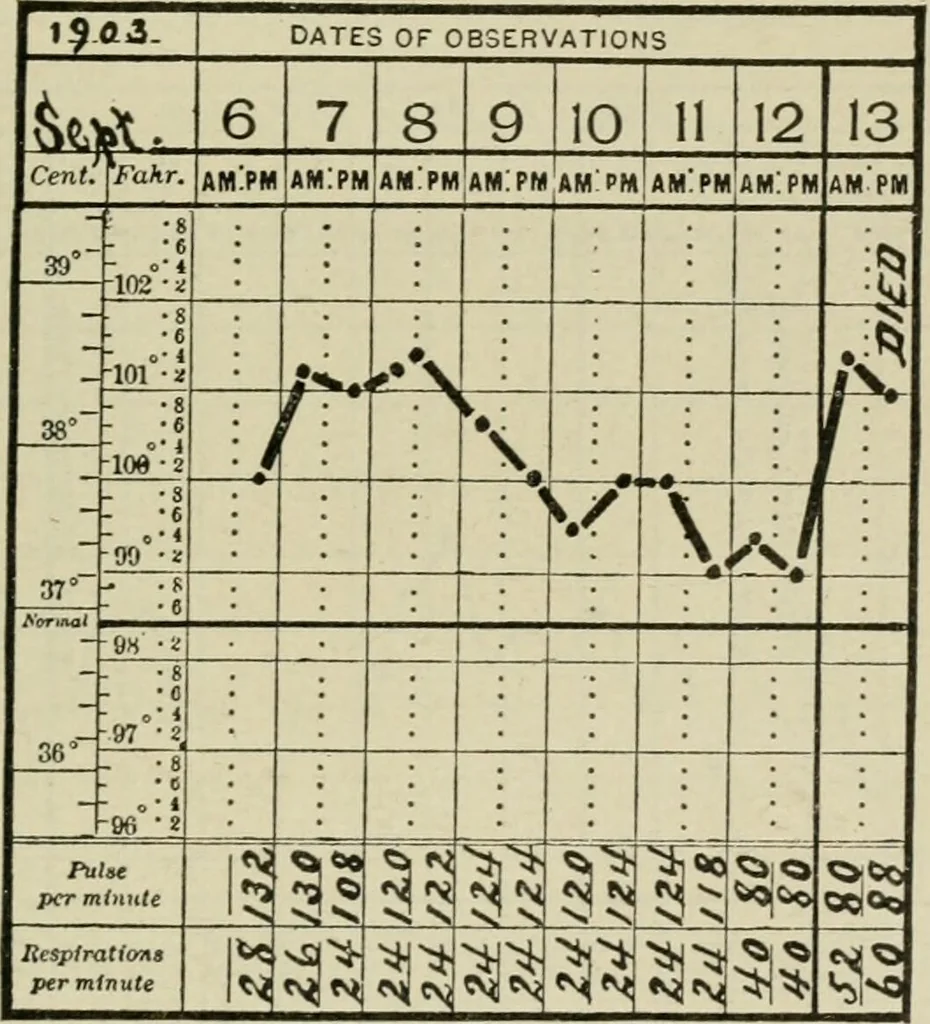 An illustration from Diseases of infancy and childhood, their dietetic, hygienic, and medical treatment : a text-book designed for practitioners and students in medicine / By Louis Fischer., 1910, leaf 615