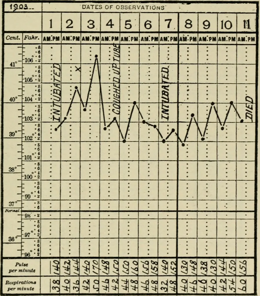 An illustration from Diseases of infancy and childhood, their dietetic, hygienic, and medical treatment : a text-book designed for practitioners and students in medicine / By Louis Fischer., 1910, leaf 629