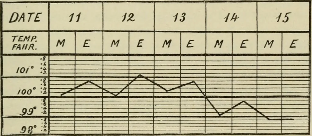 An illustration from Diseases of infancy and childhood, their dietetic, hygienic, and medical treatment : a text-book designed for practitioners and students in medicine / By Louis Fischer., 1910, leaf 693