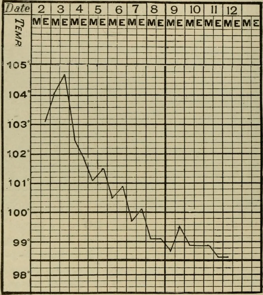 An illustration from Diseases of infancy and childhood, their dietetic, hygienic, and medical treatment : a text-book designed for practitioners and students in medicine / By Louis Fischer., 1910, leaf 752