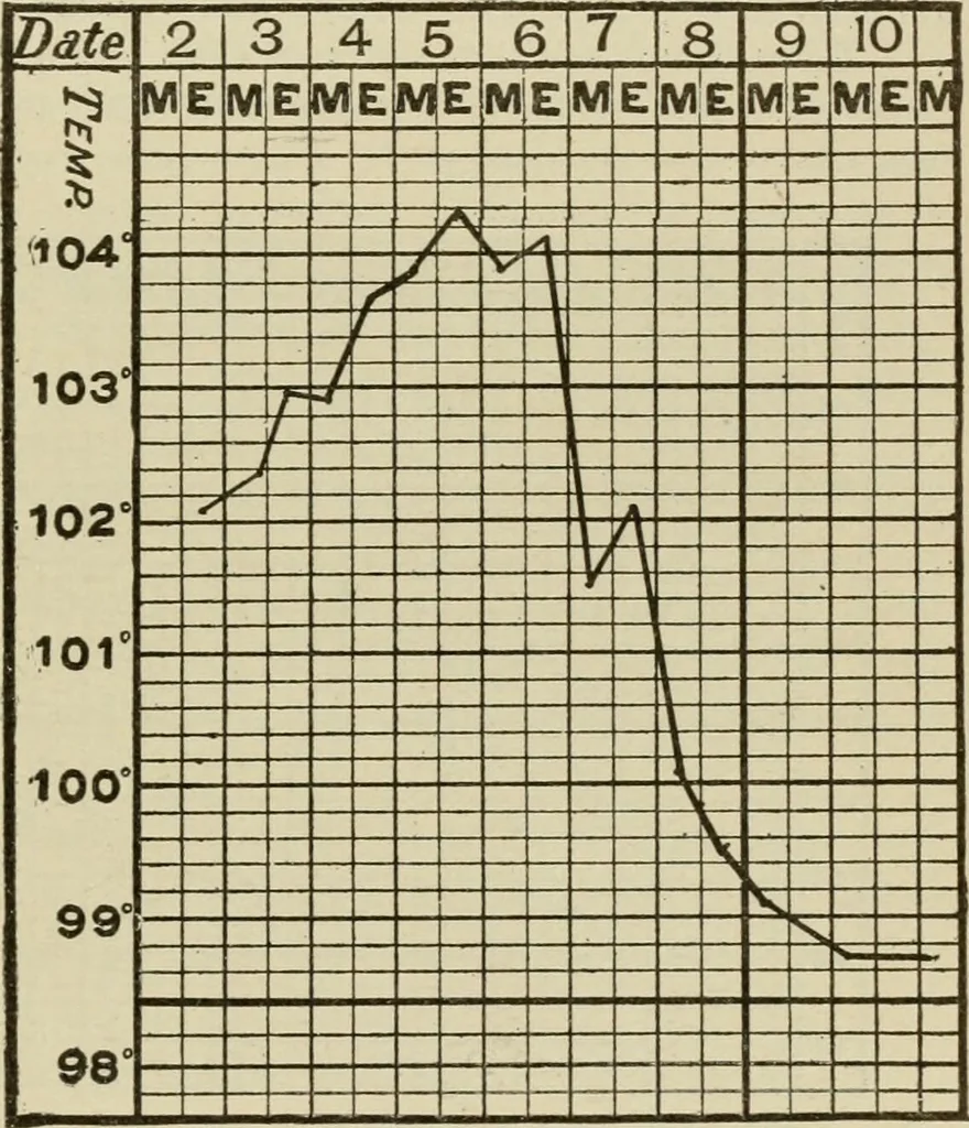 An illustration from Diseases of infancy and childhood, their dietetic, hygienic, and medical treatment : a text-book designed for practitioners and students in medicine / By Louis Fischer., 1910, leaf 775