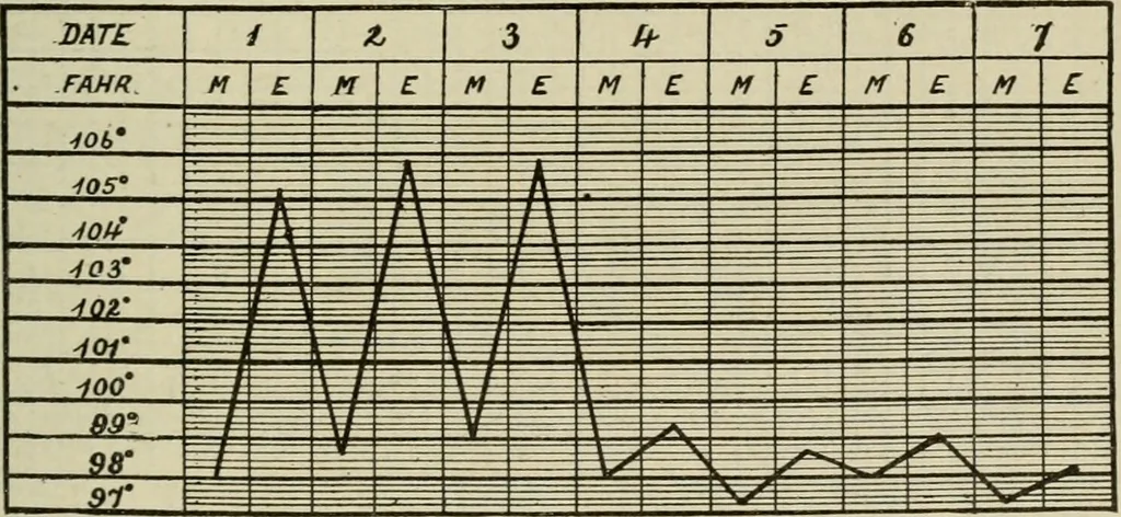 An illustration from Diseases of infancy and childhood, their dietetic, hygienic, and medical treatment : a text-book designed for practitioners and students in medicine / By Louis Fischer., 1910, leaf 781