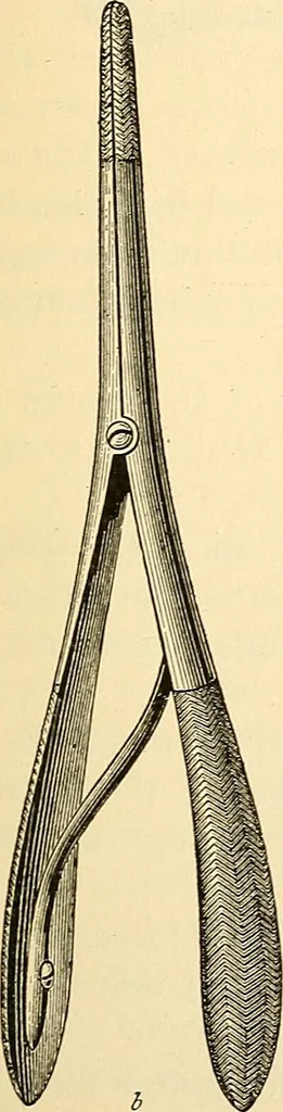 An illustration from Surgical technic; a text-book on operative surgery / by Fr. von Esmarch ... and E. Kowalzig ... translated by Professor Ludwig H. Grau ... and Willam N. Sullivan ... edited by Nicholas Senn ... With fourteen hundred and ninety-seven illustrations and fifteen colored plates., 1901, leaf 101