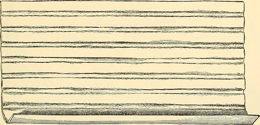 An illustration from Surgical technic; a text-book on operative surgery / by Fr. von Esmarch ... and E. Kowalzig ... translated by Professor Ludwig H. Grau ... and Willam N. Sullivan ... edited by Nicholas Senn ... With fourteen hundred and ninety-seven illustrations and fifteen colored plates., 1901, leaf 141