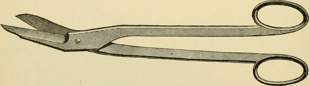An illustration from Surgical technic; a text-book on operative surgery / by Fr. von Esmarch ... and E. Kowalzig ... translated by Professor Ludwig H. Grau ... and Willam N. Sullivan ... edited by Nicholas Senn ... With fourteen hundred and ninety-seven illustrations and fifteen colored plates., 1901, leaf 162