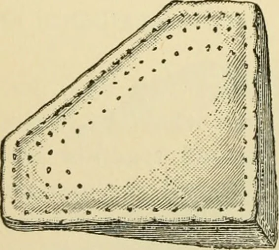 An illustration from Surgical technic; a text-book on operative surgery / by Fr. von Esmarch ... and E. Kowalzig ... translated by Professor Ludwig H. Grau ... and Willam N. Sullivan ... edited by Nicholas Senn ... With fourteen hundred and ninety-seven illustrations and fifteen colored plates., 1901, leaf 188