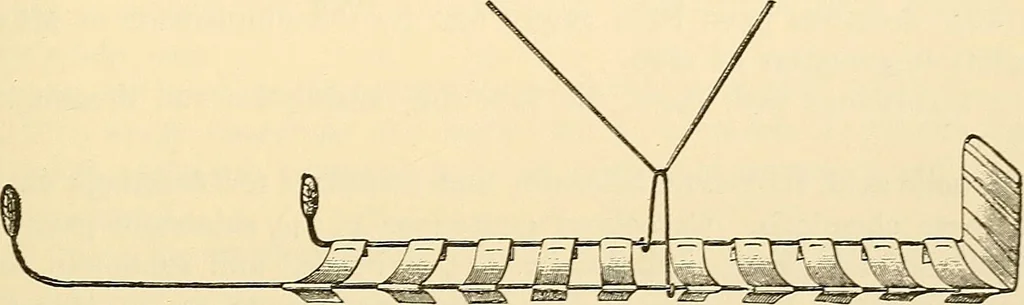 An illustration from Surgical technic; a text-book on operative surgery / by Fr. von Esmarch ... and E. Kowalzig ... translated by Professor Ludwig H. Grau ... and Willam N. Sullivan ... edited by Nicholas Senn ... With fourteen hundred and ninety-seven illustrations and fifteen colored plates., 1901, leaf 211