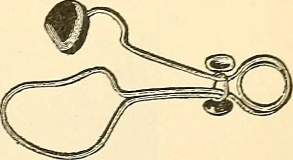 An illustration from Surgical technic; a text-book on operative surgery / by Fr. von Esmarch ... and E. Kowalzig ... translated by Professor Ludwig H. Grau ... and Willam N. Sullivan ... edited by Nicholas Senn ... With fourteen hundred and ninety-seven illustrations and fifteen colored plates., 1901, leaf 227