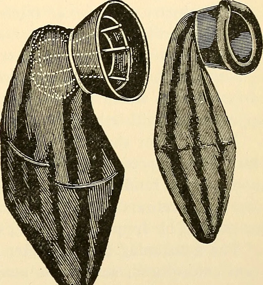 An illustration from Surgical technic; a text-book on operative surgery / by Fr. von Esmarch ... and E. Kowalzig ... translated by Professor Ludwig H. Grau ... and Willam N. Sullivan ... edited by Nicholas Senn ... With fourteen hundred and ninety-seven illustrations and fifteen colored plates., 1901, leaf 233