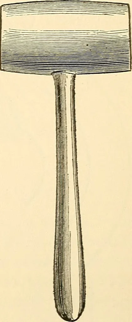 An illustration from Surgical technic; a text-book on operative surgery / by Fr. von Esmarch ... and E. Kowalzig ... translated by Professor Ludwig H. Grau ... and Willam N. Sullivan ... edited by Nicholas Senn ... With fourteen hundred and ninety-seven illustrations and fifteen colored plates., 1901, leaf 377