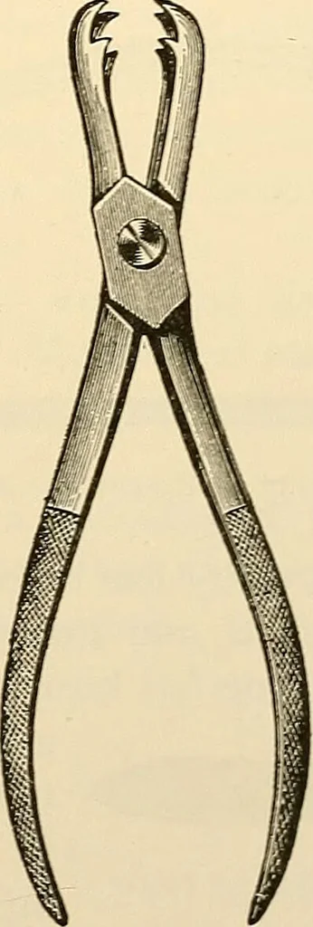 An illustration from Surgical technic; a text-book on operative surgery / by Fr. von Esmarch ... and E. Kowalzig ... translated by Professor Ludwig H. Grau ... and Willam N. Sullivan ... edited by Nicholas Senn ... With fourteen hundred and ninety-seven illustrations and fifteen colored plates., 1901, leaf 467