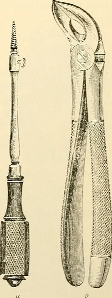 An illustration from Surgical technic; a text-book on operative surgery / by Fr. von Esmarch ... and E. Kowalzig ... translated by Professor Ludwig H. Grau ... and Willam N. Sullivan ... edited by Nicholas Senn ... With fourteen hundred and ninety-seven illustrations and fifteen colored plates., 1901, leaf 665