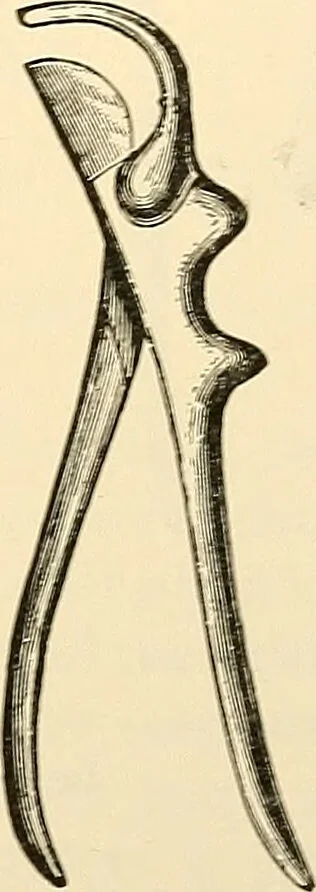 An illustration from Surgical technic; a text-book on operative surgery / by Fr. von Esmarch ... and E. Kowalzig ... translated by Professor Ludwig H. Grau ... and Willam N. Sullivan ... edited by Nicholas Senn ... With fourteen hundred and ninety-seven illustrations and fifteen colored plates., 1901, leaf 731