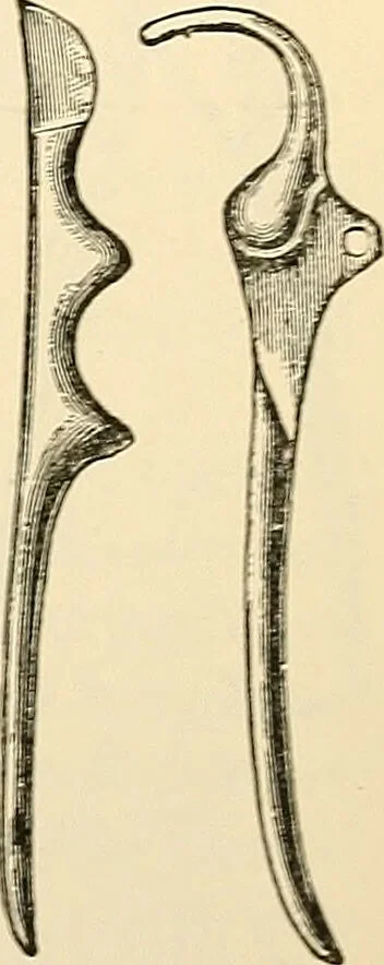 An illustration from Surgical technic; a text-book on operative surgery / by Fr. von Esmarch ... and E. Kowalzig ... translated by Professor Ludwig H. Grau ... and Willam N. Sullivan ... edited by Nicholas Senn ... With fourteen hundred and ninety-seven illustrations and fifteen colored plates., 1901, leaf 731