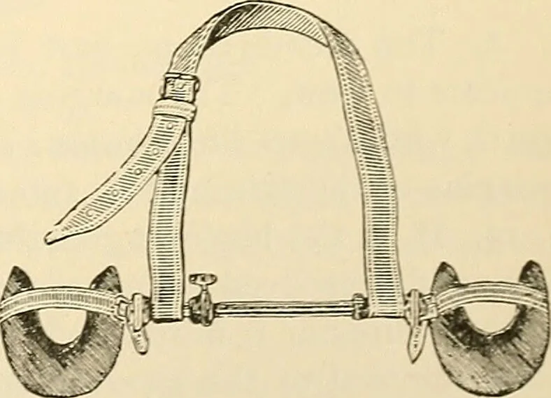 An illustration from Surgical technic; a text-book on operative surgery / by Fr. von Esmarch ... and E. Kowalzig ... translated by Professor Ludwig H. Grau ... and Willam N. Sullivan ... edited by Nicholas Senn ... With fourteen hundred and ninety-seven illustrations and fifteen colored plates., 1901, leaf 837