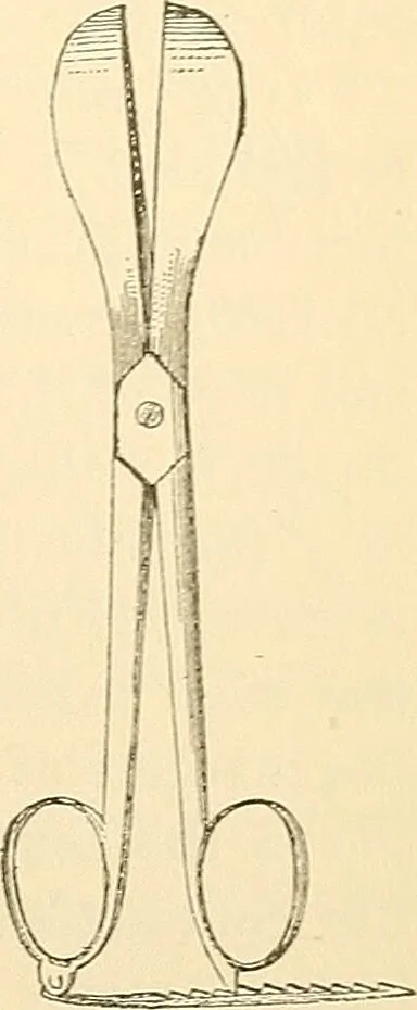 An illustration from Surgical technic; a text-book on operative surgery / by Fr. von Esmarch ... and E. Kowalzig ... translated by Professor Ludwig H. Grau ... and Willam N. Sullivan ... edited by Nicholas Senn ... With fourteen hundred and ninety-seven illustrations and fifteen colored plates., 1901, leaf 893