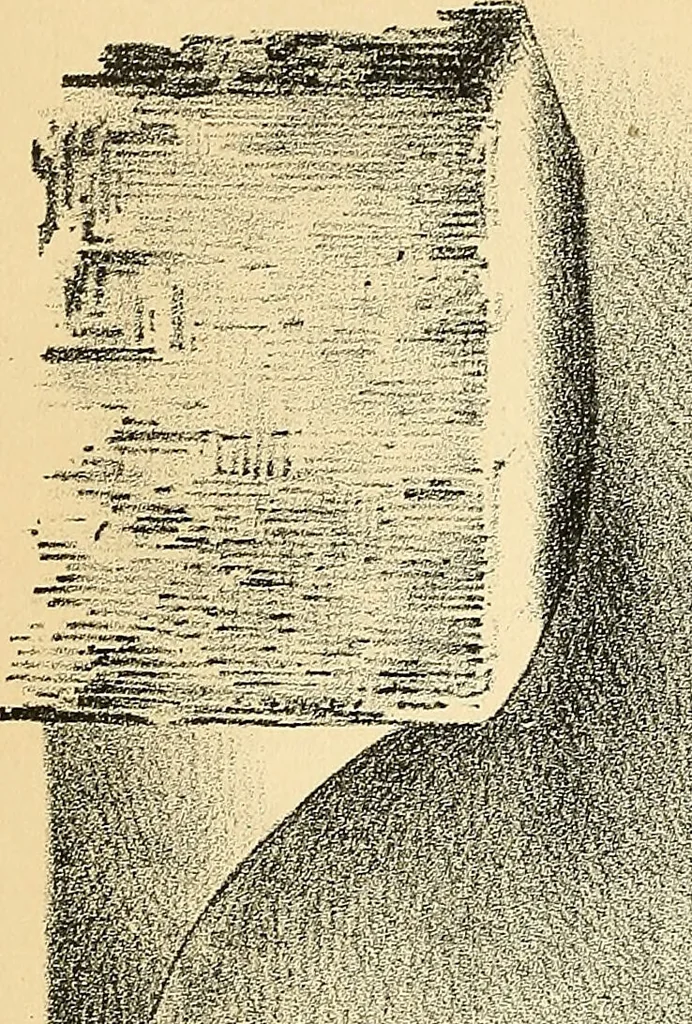 An illustration from Illustrations of dissections : in a series of original colored plates the size of life representing the dissection of the human body / by George Viner Ellis and G.H. Ford., 1891, leaf 352