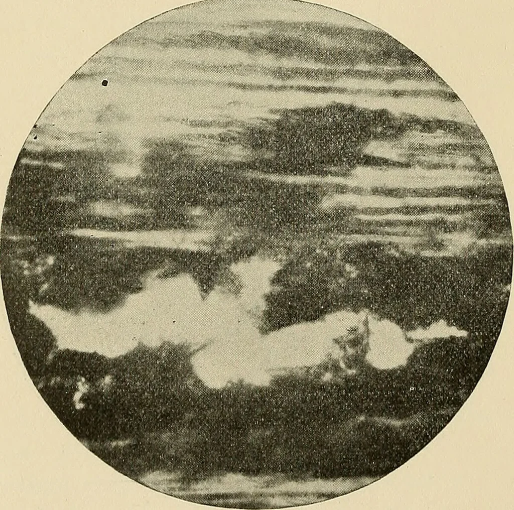 An illustration from The practice of dental medicine / By George F. Eames. Containing thirty-eight engravings and three colored plates., 1899, leaf 170