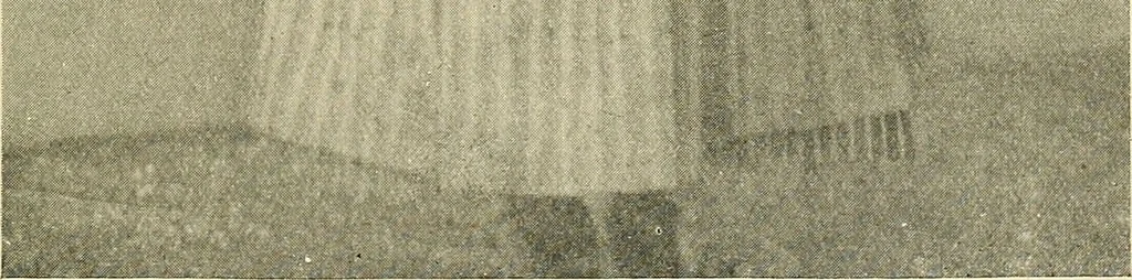 An illustration from Mental diseases : A text-book of psychiatry for medical students and practitioners / by R.H. Cole, ... With fifty-two illustrations and plates., 1913, leaf 141