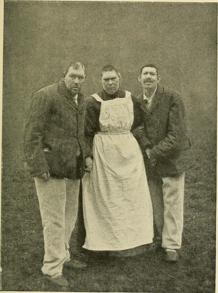 An illustration from Mental diseases : A text-book of psychiatry for medical students and practitioners / by R.H. Cole, ... With fifty-two illustrations and plates., 1913, leaf 167