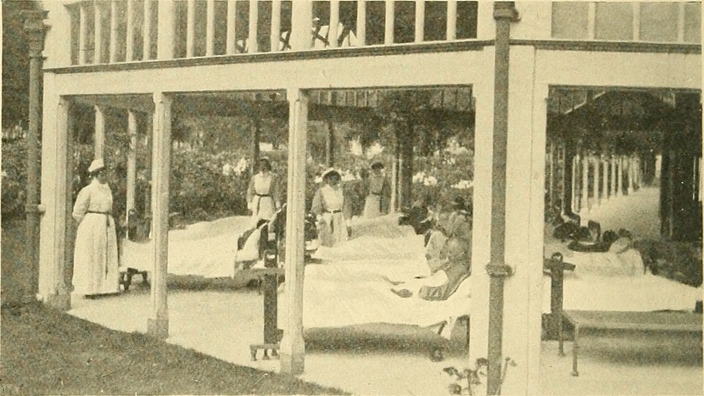 An illustration from Mental diseases : A text-book of psychiatry for medical students and practitioners / by R.H. Cole, ... With fifty-two illustrations and plates., 1913, leaf 30