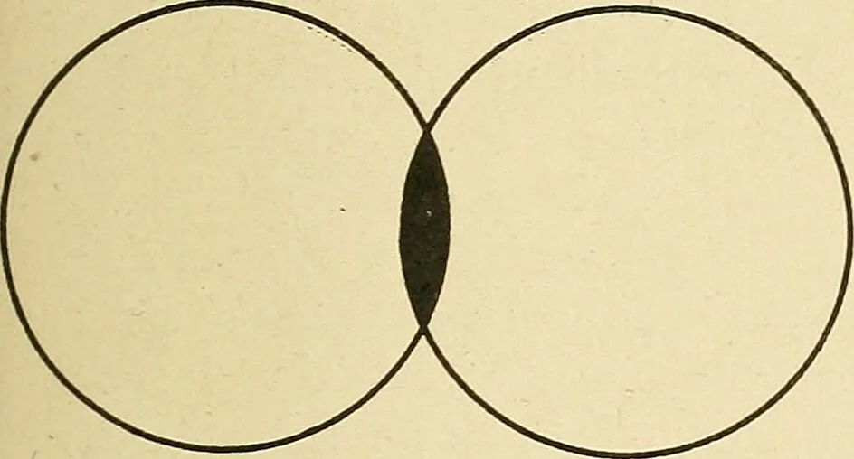 An illustration from Mental diseases : A text-book of psychiatry for medical students and practitioners / by R.H. Cole, ... With fifty-two illustrations and plates., 1913, leaf 33