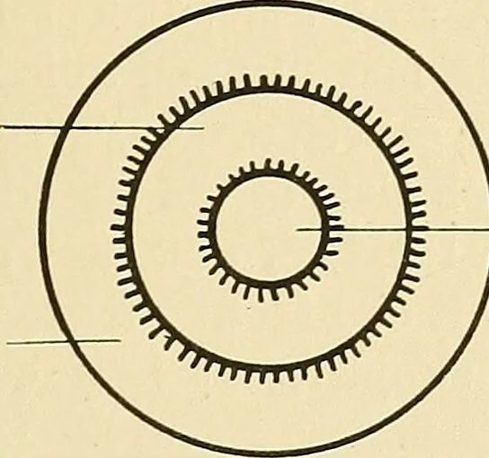 An illustration from Mental diseases : A text-book of psychiatry for medical students and practitioners / by R.H. Cole, ... With fifty-two illustrations and plates., 1913, leaf 35