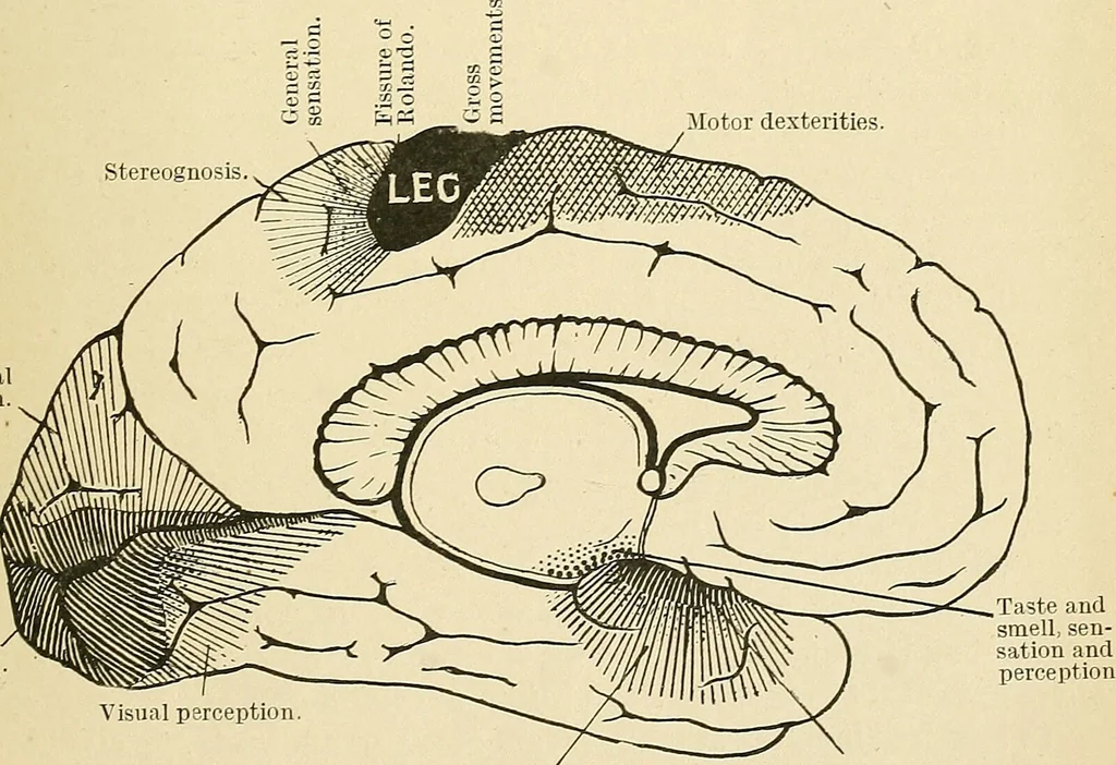 An illustration from Mental diseases : A text-book of psychiatry for medical students and practitioners / by R.H. Cole, ... With fifty-two illustrations and plates., 1913, leaf 49
