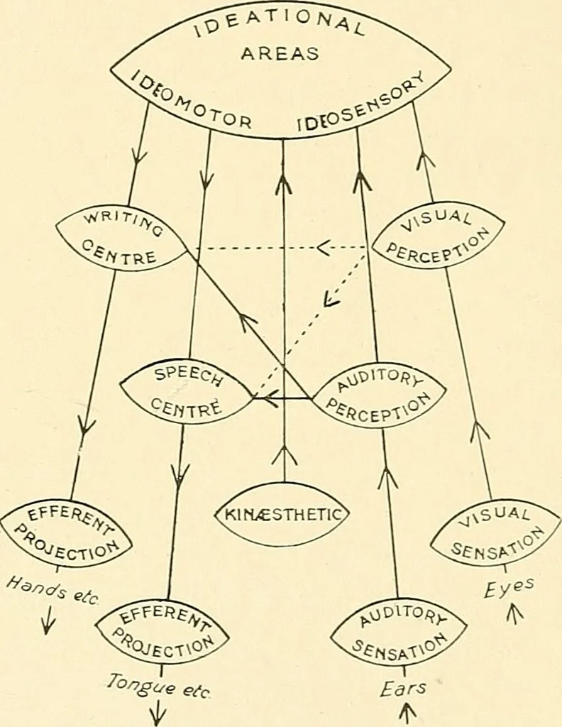 An illustration from Mental diseases : A text-book of psychiatry for medical students and practitioners / by R.H. Cole, ... With fifty-two illustrations and plates., 1913, leaf 86