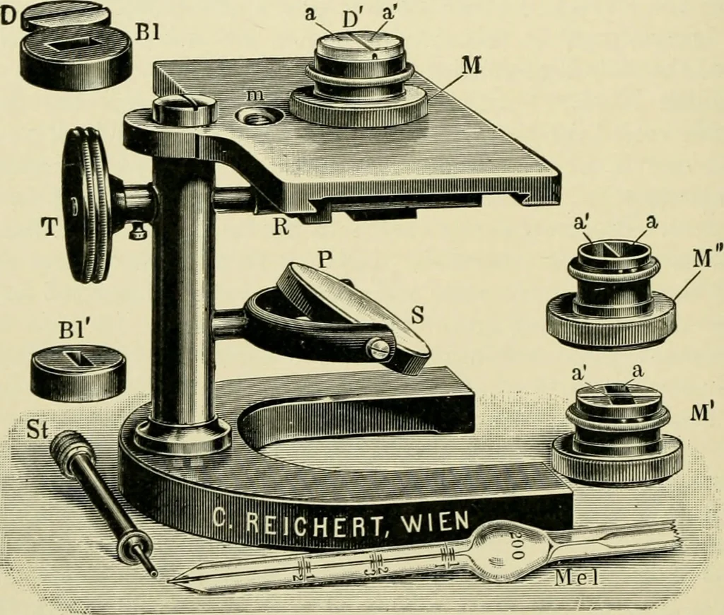 An illustration from Diseases of metabolism and of the blood : animal parasites, toxicology / ed. by Richard C. Cabot ... An authorized translation from "Die deutsche klinik" under the general editorial supervision of Julius L. Salinger, M. D. With one colored plate and fifty-eight illustrations in the text., 1906, leaf 298