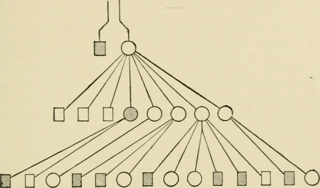 An illustration from Diseases of metabolism and of the blood : animal parasites, toxicology / ed. by Richard C. Cabot ... An authorized translation from "Die deutsche klinik" under the general editorial supervision of Julius L. Salinger, M. D. With one colored plate and fifty-eight illustrations in the text., 1906, leaf 441